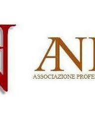 ANIEF Logo