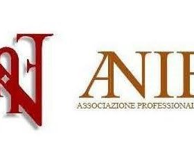 ANIEF Logo