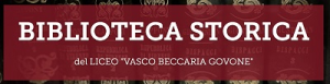 Biblioteca-Stor-Logo