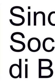 Sindacato Sociale di Base - Logo